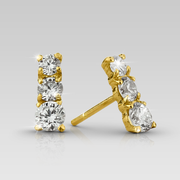 Zarcillos Rain & Tapa Especial