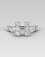 Anillo T