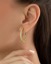 Argollas Frida