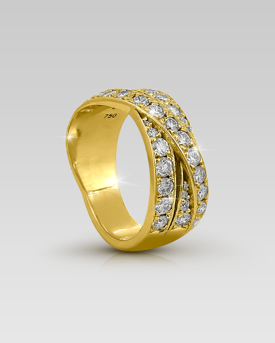 Anillo Basel