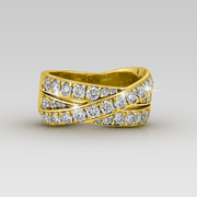 Anillo Basel