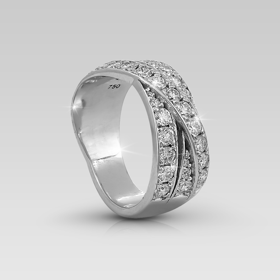 Anillo Basel