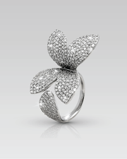 Anillo Bloom