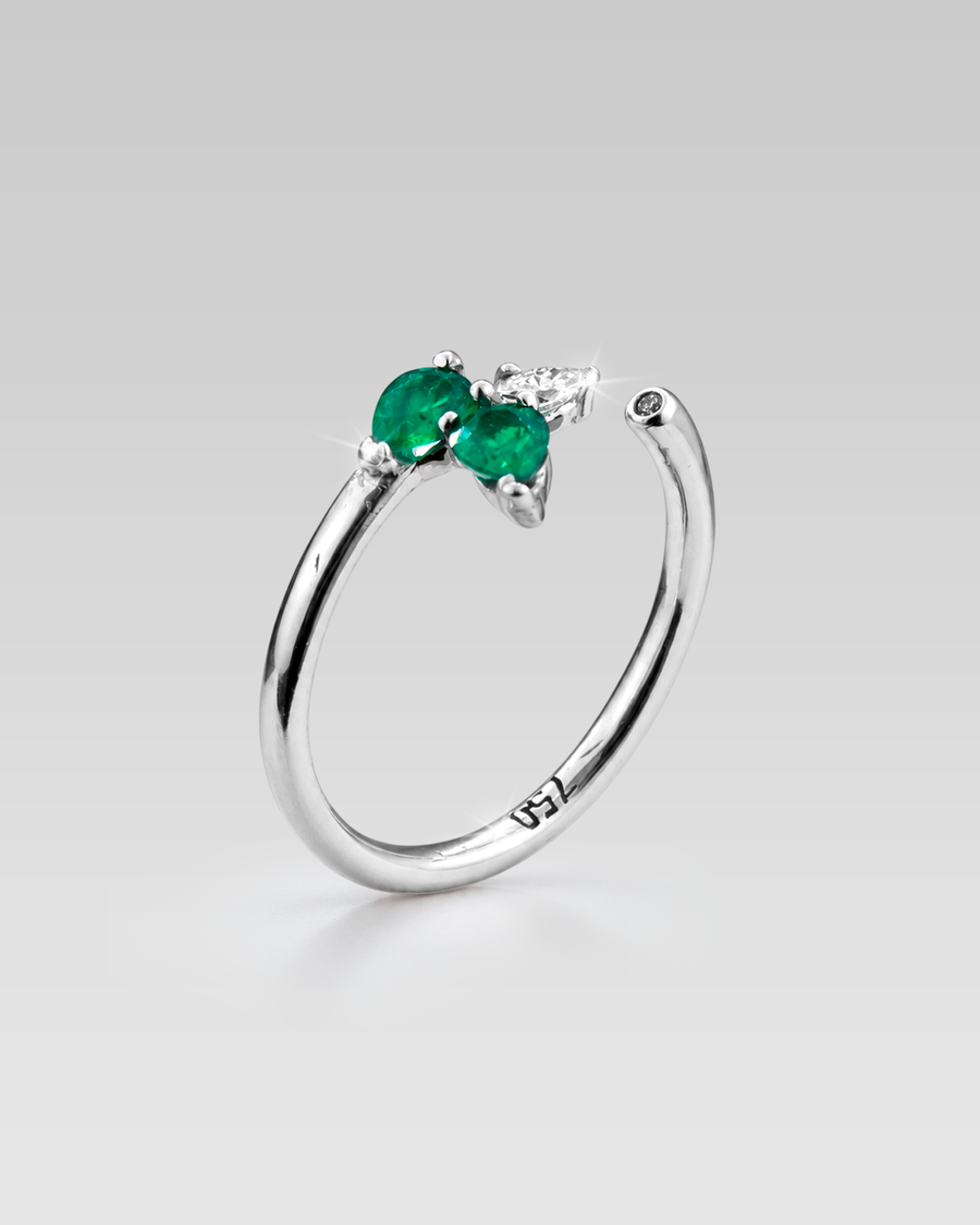 Anillo Forest