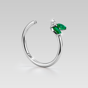 Anillo Forest