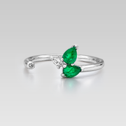 Anillo Forest