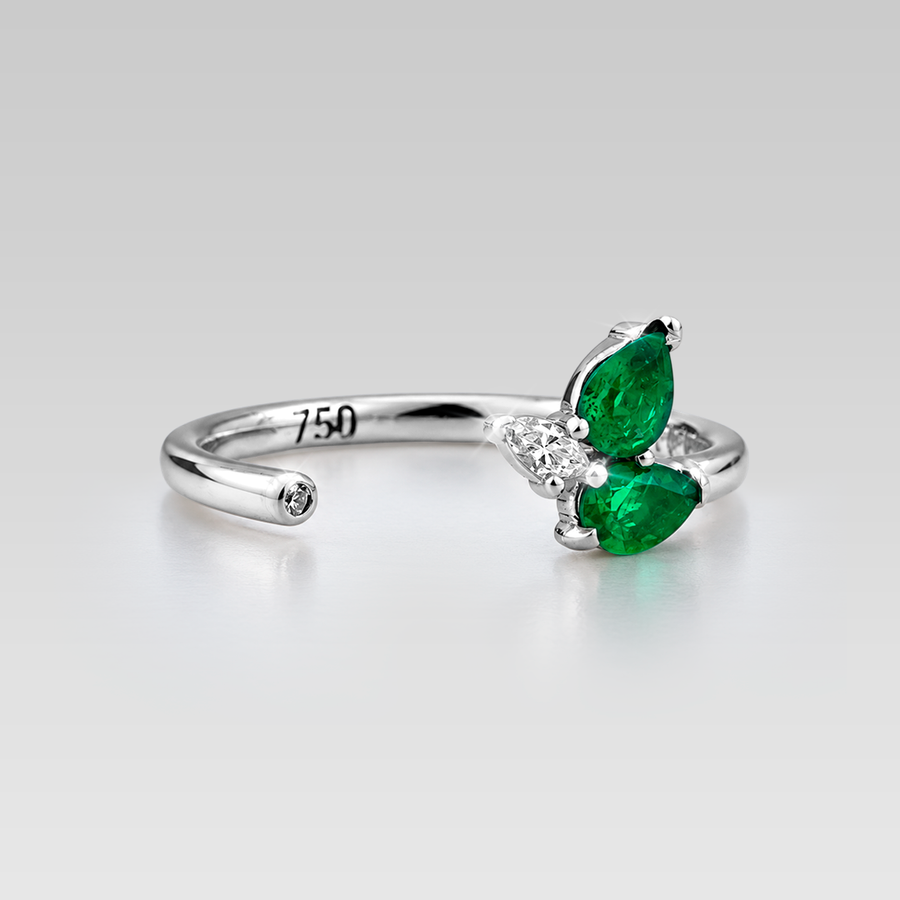 Anillo Forest